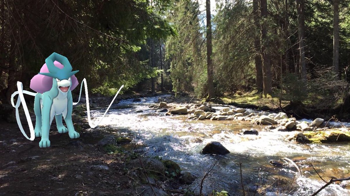 Suicune embodies the compassion of a pure spring of water. It runs across the land with gracefulness. Suicune has the power to purify dirty water. #GOsnapshot #HabitatChallenge