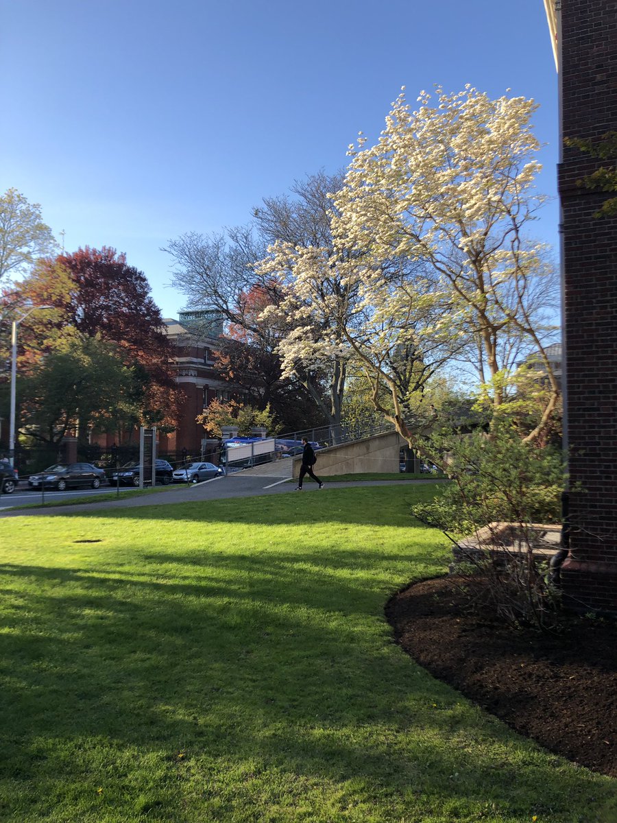 anandmahindra's tweet photo. Spring is an almost perfect time to be in Cambridge Massachusetts, U.S. We’re at the annual Mahindra Universe programme at Harvard for a selection of our global leadership... https://t.co/PM41D35GGK
