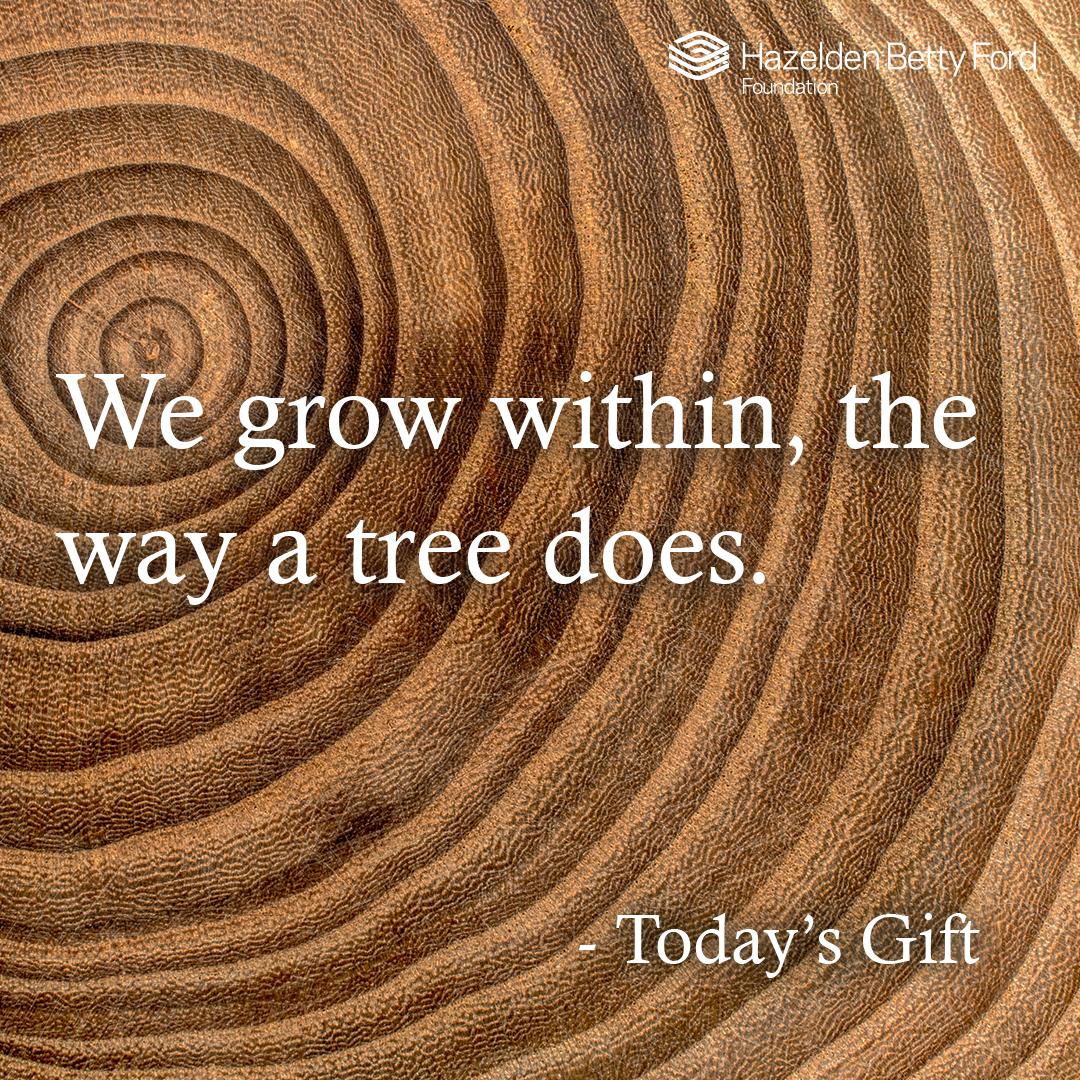 We’ve all seen the rings representing the years of a tree’s life. We carry our histories with us, too. #recovery #LifeTake2 #ThoughtForTheDay Read the full Thought For The Day at bit.ly/ThoughtFTD