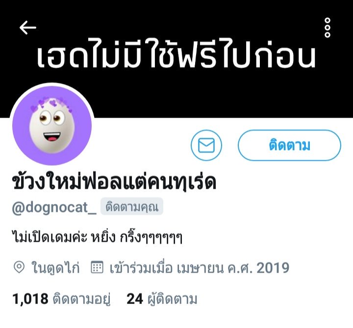 เมืองหนาว tweet media