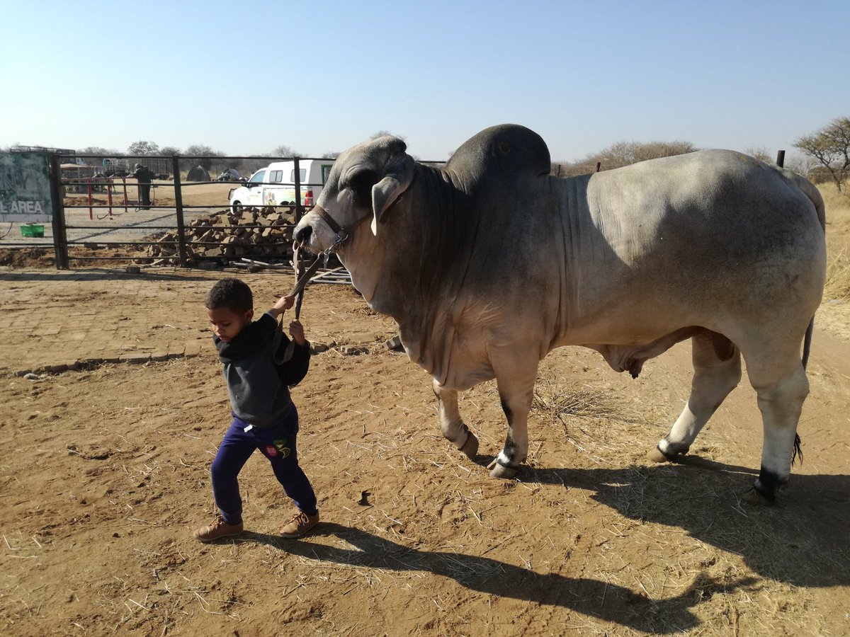 EFF worked hard for this elections, it was 
ENCA against the EFF.

SABC against the EFF

702 against the EFF.

News24 against the EFF.

ANC against the EFF

DA against the EFF

BLF against the EFF.

The Only neutral station was <a href="/Powerfm987/">POWER 98.7</a> 

 #IChooseToVoteEFF
#IAmVotingEFF