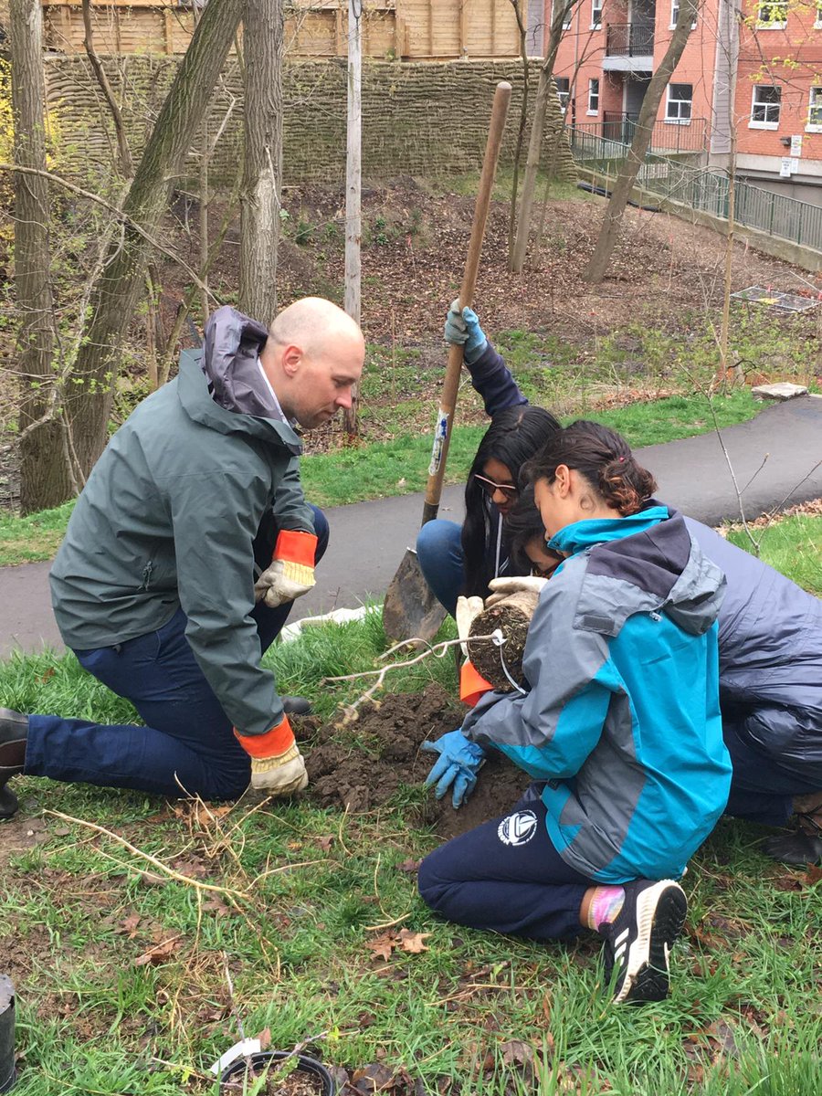 It can be easy to forget that in Toronto you have beautiful ravines just steps from your door. This morning I joined young leaders from Roden Public School and <a href="/TOtrees/">TREES TO PLEASE</a> to plant native trees in Newbold Ravine so we can keep it green for generations to come! #BEY #TOravines