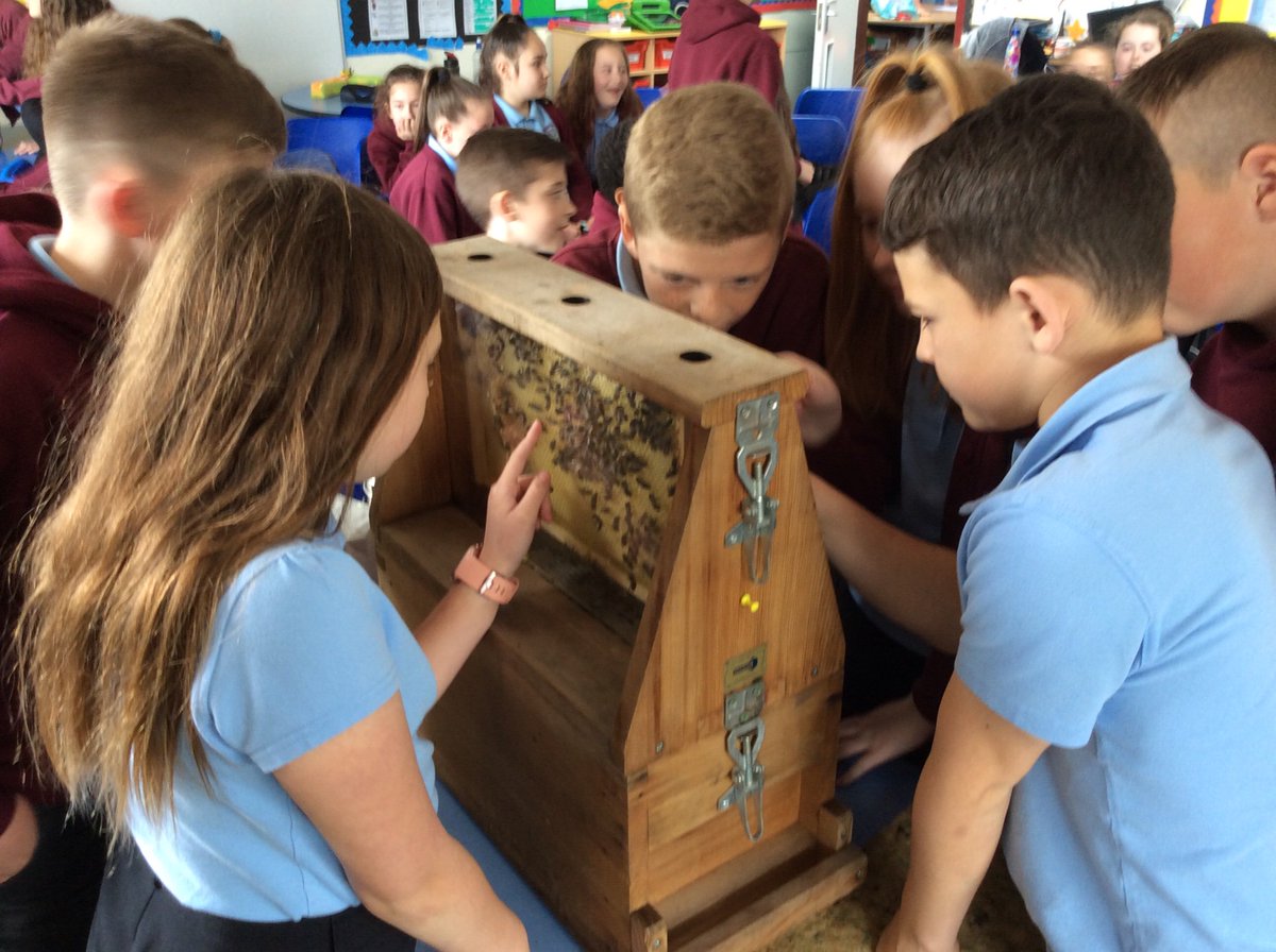 Plasyfelin's tweet photo. We had a great time learning about honey bees π with Lorne @Sirhowyhoney #plapc12 #plapc13 #plapeco #plapscience #ESDGC https://t.co/u8cF7azlzs