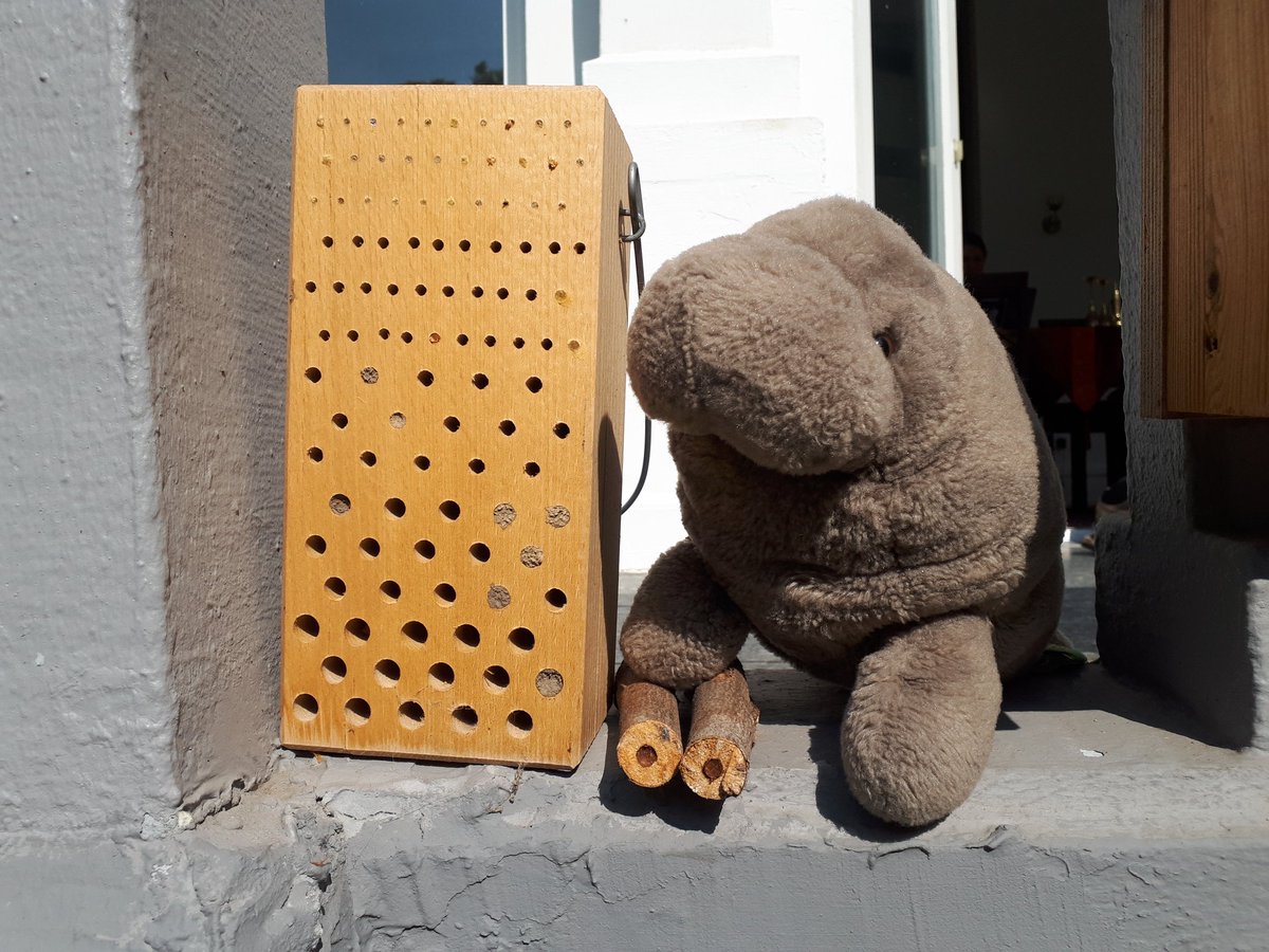 Look, I'm a hotel manager :3 #SaveTheBees