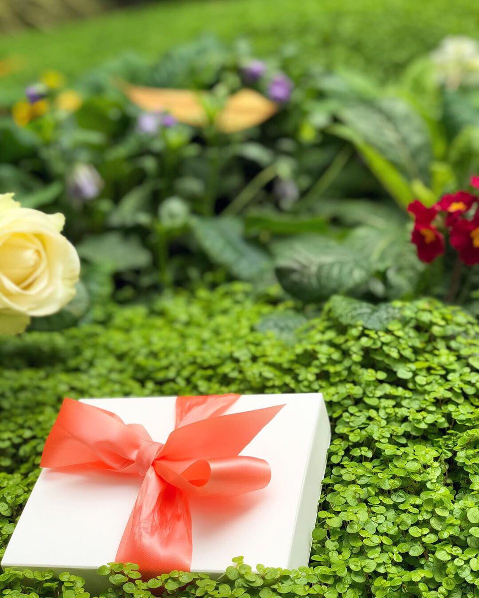 🎁 ALERTE CADEAUX 🎁 
Pour toute réservation au Jazzy Brunch spécial fête des mères dimanche 26 mai, une table sera tirée au sort pour gagner ce joli cadeau ! Mais qu’est-ce donc..? 🤫
Infos &amp; réservations au 01.40.68.30.39 🍴
#lemeridienetoile #brunch