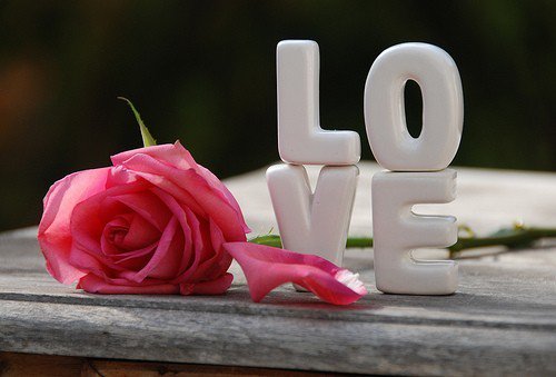 Lady_L_U_V's tweet photo. #AlwaysLuv 🍃 💗 🌈 🌺 https://t.co/ICg6s09lDJ