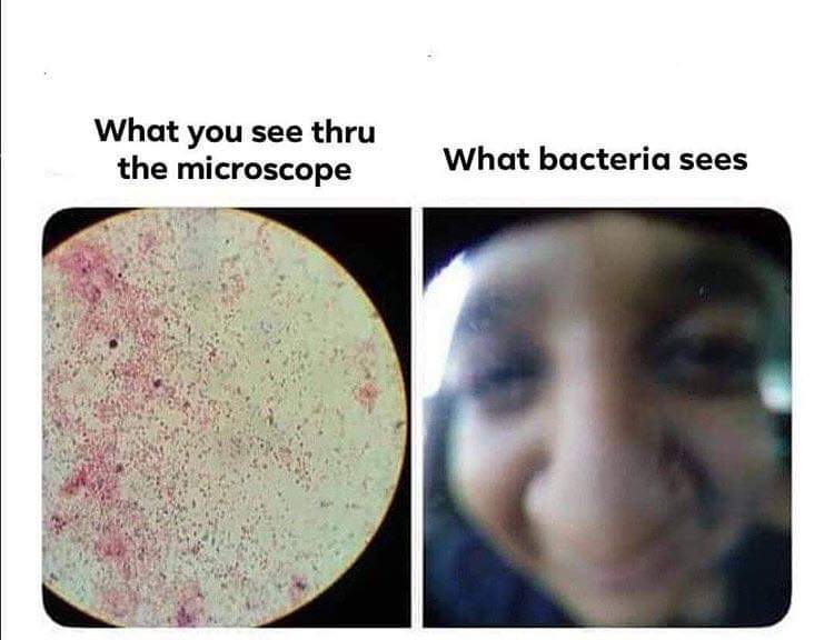 MolecularDoc's tweet image. 