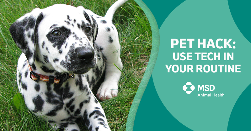MSDAnimalHealth's tweet image. This #TechTuesday, we’re featuring a #PetHack to help busy pet parents remember to dispense needed medications. At the beginning of every month, set up dosage reminders using the calendar on your home’s smart devices.