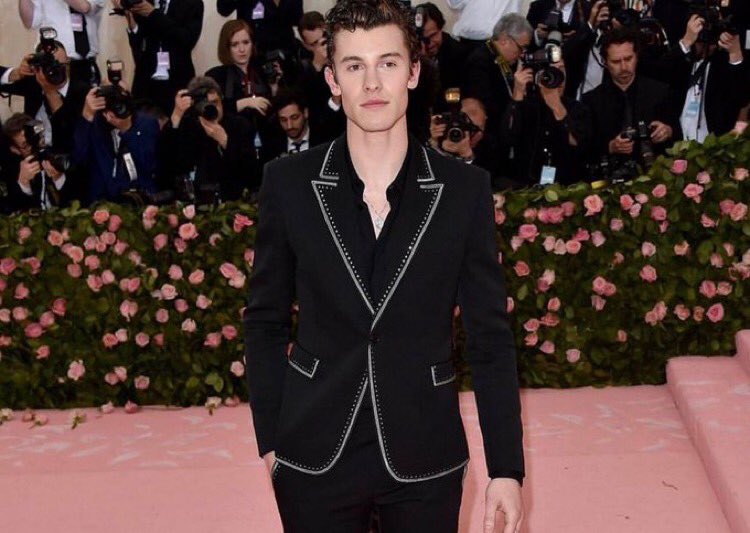 Shawn Mendes France tweet media