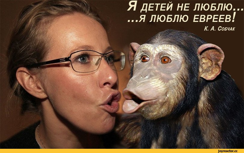 Собчак а то денег у нас нет. Собчак приколы. собчак фотожабы. картинки про собчак прикольные. собчак фото прикол.