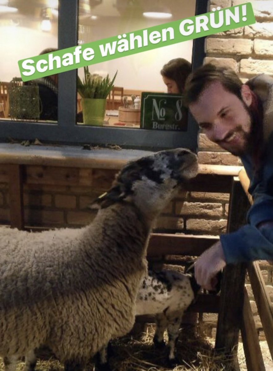 Lukas Schauder looking at Schaf

Quelle: Instagram von Lukas Schauder