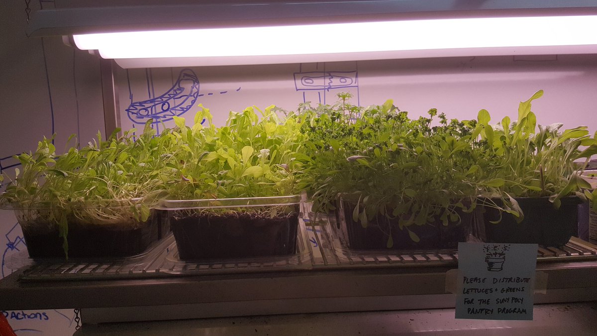 Kristina Boylan On Twitter Suny Poly Pantry Grab A Garden Today