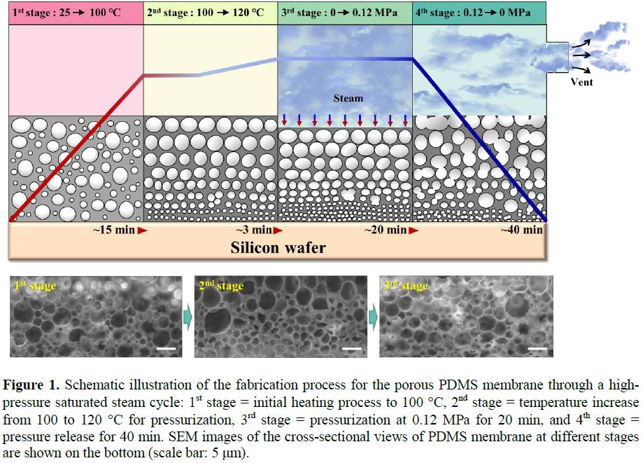 synthesis and vaccine evaluation of the tumor associated carbohydrate antigen rm2 from