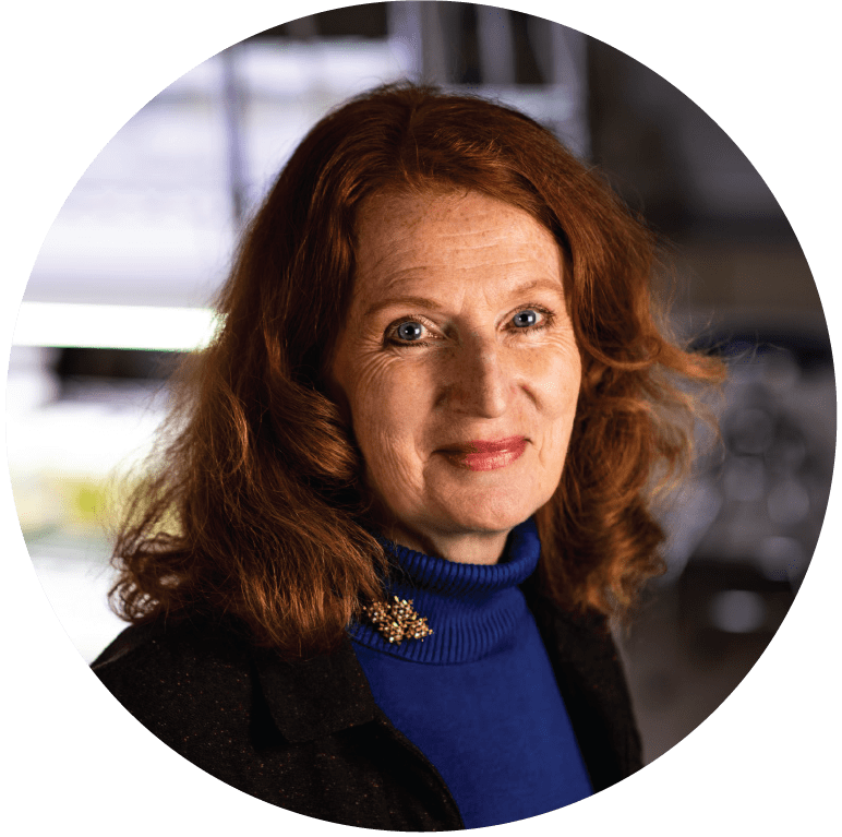 CornishLabGroup's tweet image. Listen to Dr. Cornish's interview on the Earth911 Podcast discussing the future of rubber production. #rubber #cornishlab #rubberproduction #earth911 #podcast 
earth911.com/podcast/earth9…