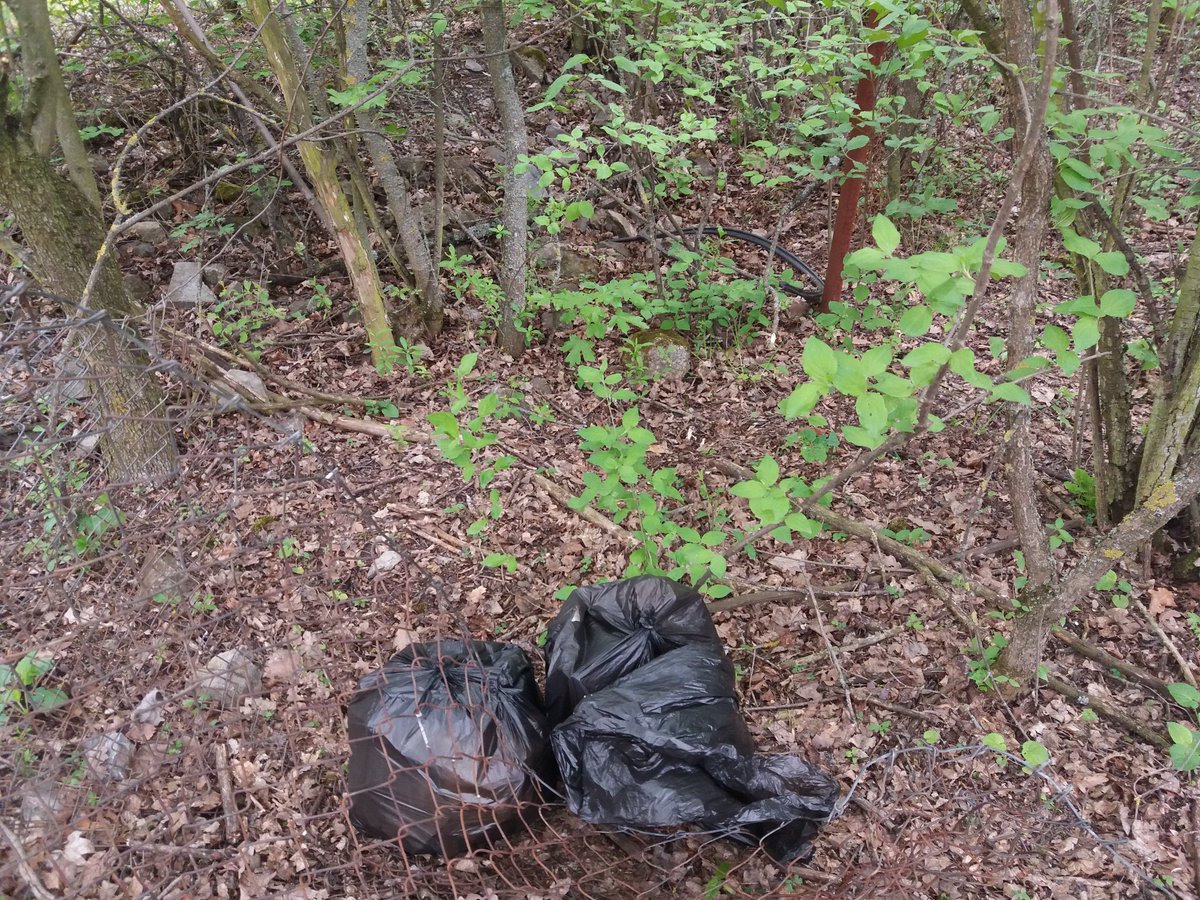 tereziecizkova's tweet photo. Be aware of yourself and your actions - cleaning-up number 4. 🌍♻️ If you plan to do your own cleaning-up day as well, share your pictures with me!

#plasticpollution #plasticwaste #cutoutplastic #czechrepublic #greenpeace #cleanup #brno #earth #earthdayeveryday https://t.co/LGqUwotbtI