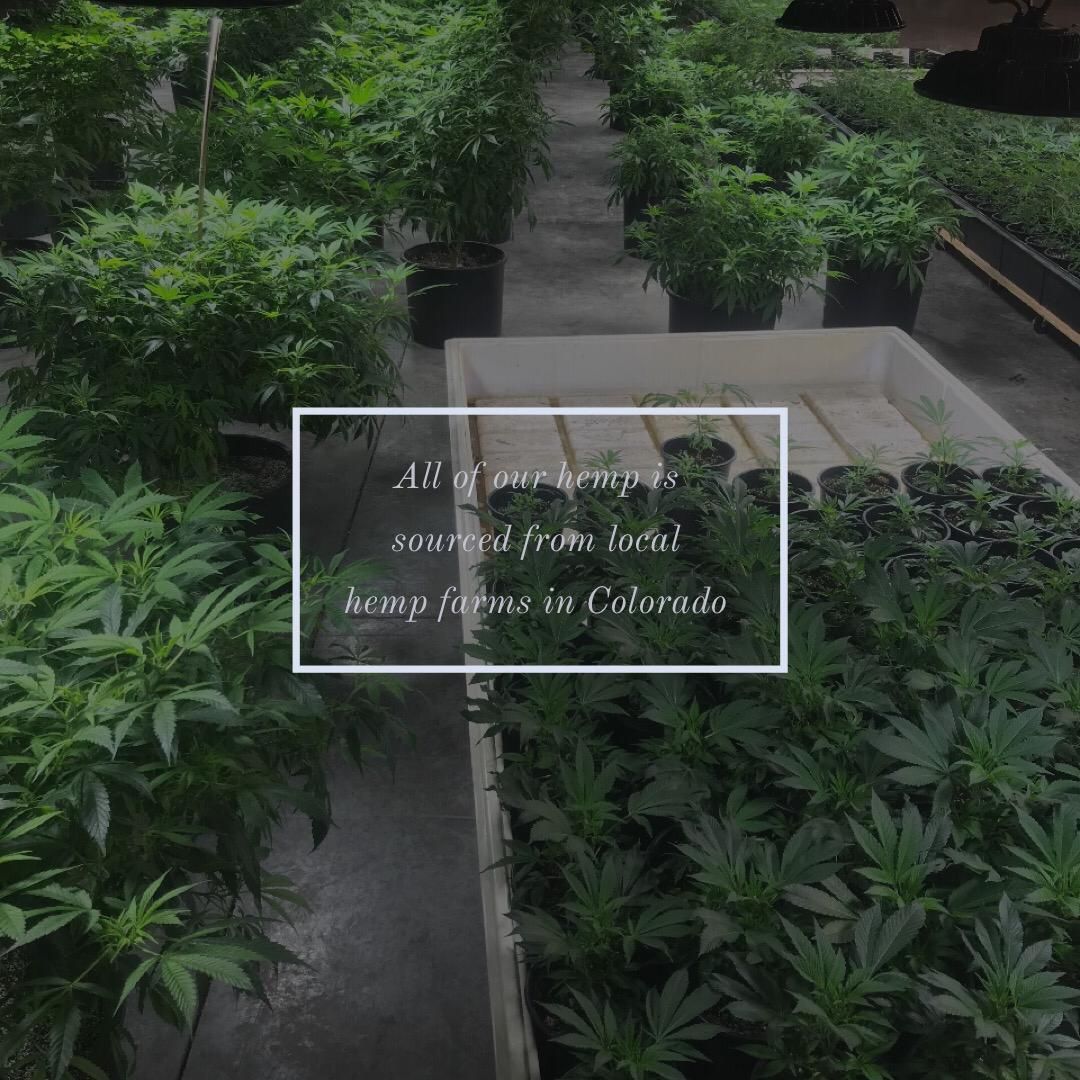 ANOCBD's tweet photo. These farmers grow using genetics with extremely high levels of #CBD and rich in different #cannabinoids such as CBG, CBN and CBC. https://t.co/PLCjKKCTGl