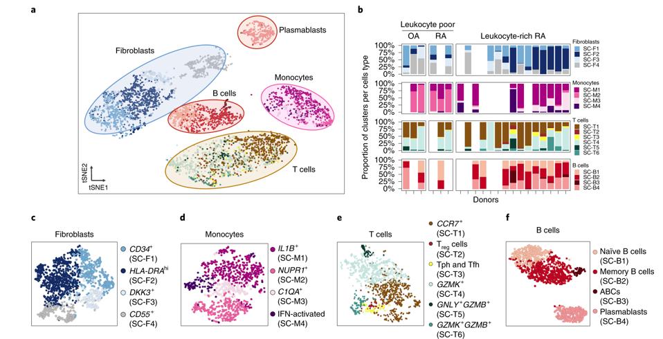 mmw_lmw's tweet photo. #Inflammatory_States in #Rheumatoid_Arthritis | Pairwise analysis of #MassCytometry and #SingleCell_Transcriptomics | Distinct cellular composition | Soumya Raychaudhuri @BrighamWomens @harvardmed @NatImmunol https://t.co/Mvfp0gpJK8 https://t.co/pnfM2vfp1J
