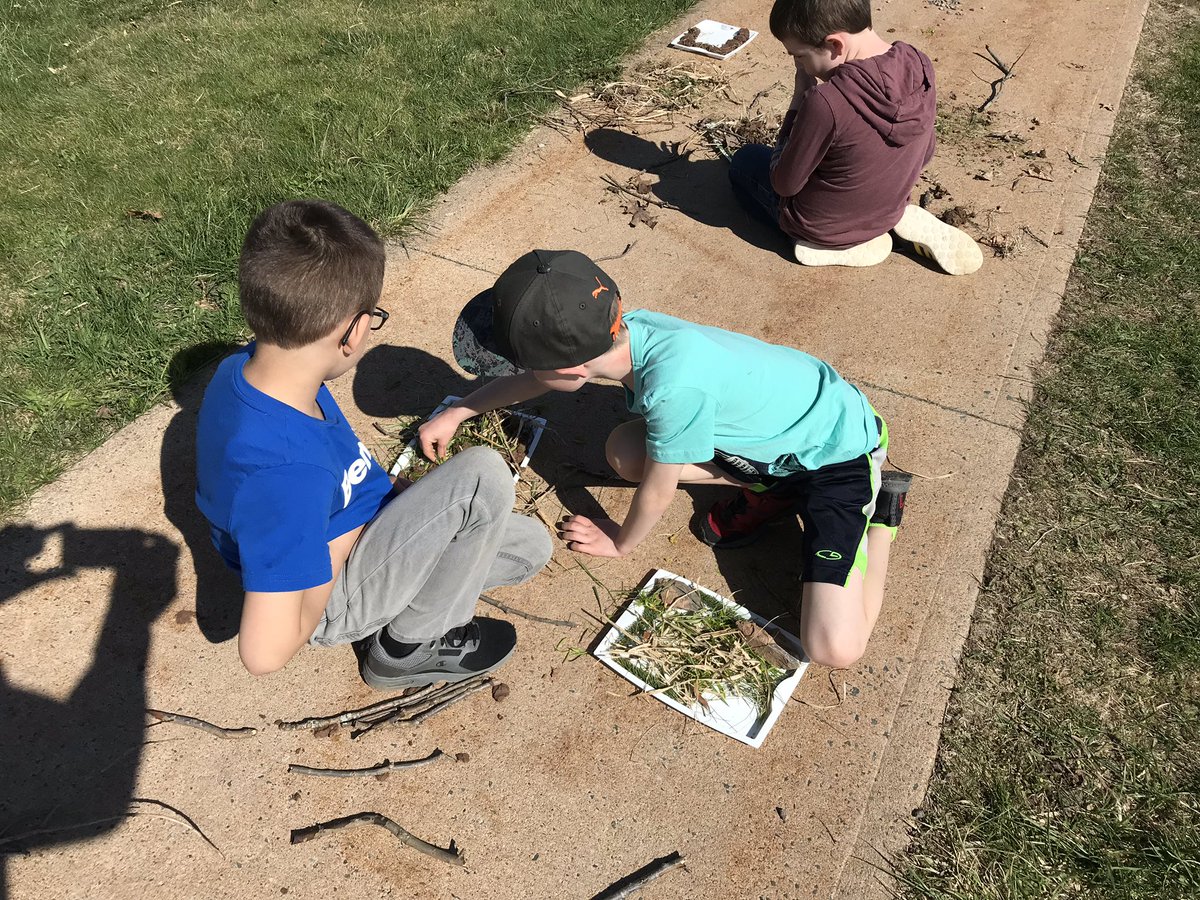AvrceT's tweet photo. Building bird nests with @MsALeslie at @weschoolns @AVRCE_NS https://t.co/F9Ziw9Yeuc