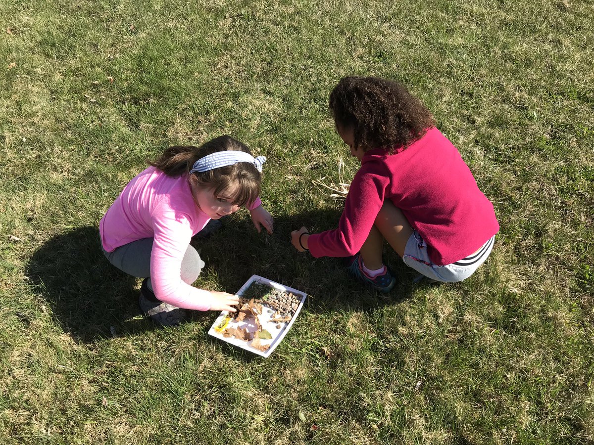 AvrceT's tweet photo. Building bird nests with @MsALeslie at @weschoolns @AVRCE_NS https://t.co/F9Ziw9Yeuc