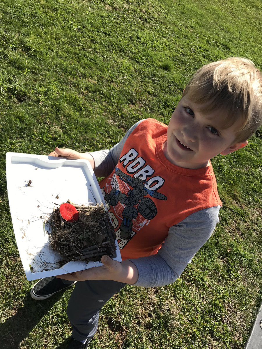 AVRCE Tech (@avrcet) on Twitter photo Building bird nests with <a href="/MsALeslie/">Andrea Leslie</a> at <a href="/weschoolns/">Windsor Elementary</a> <a href="/AVRCE_NS/">Annapolis Valley Regional Centre for Education</a> Building bird nests with <a href="/MsALeslie/">Andrea Leslie</a> at <a href="/weschoolns/">Windsor Elementary</a> <a href="/AVRCE_NS/">Annapolis Valley Regional Centre for Education</a>