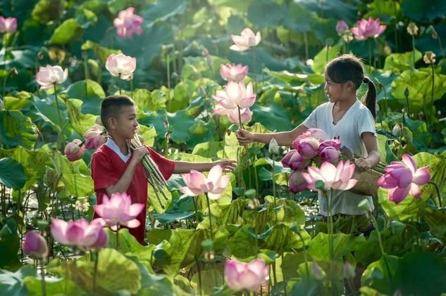 Ramblings tweet media