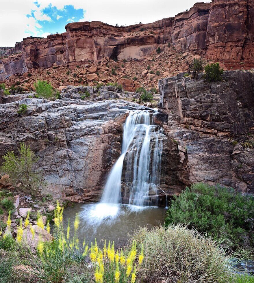 A waterfall flows down a red rock cliff in a small pond surrounded by wildflowers.