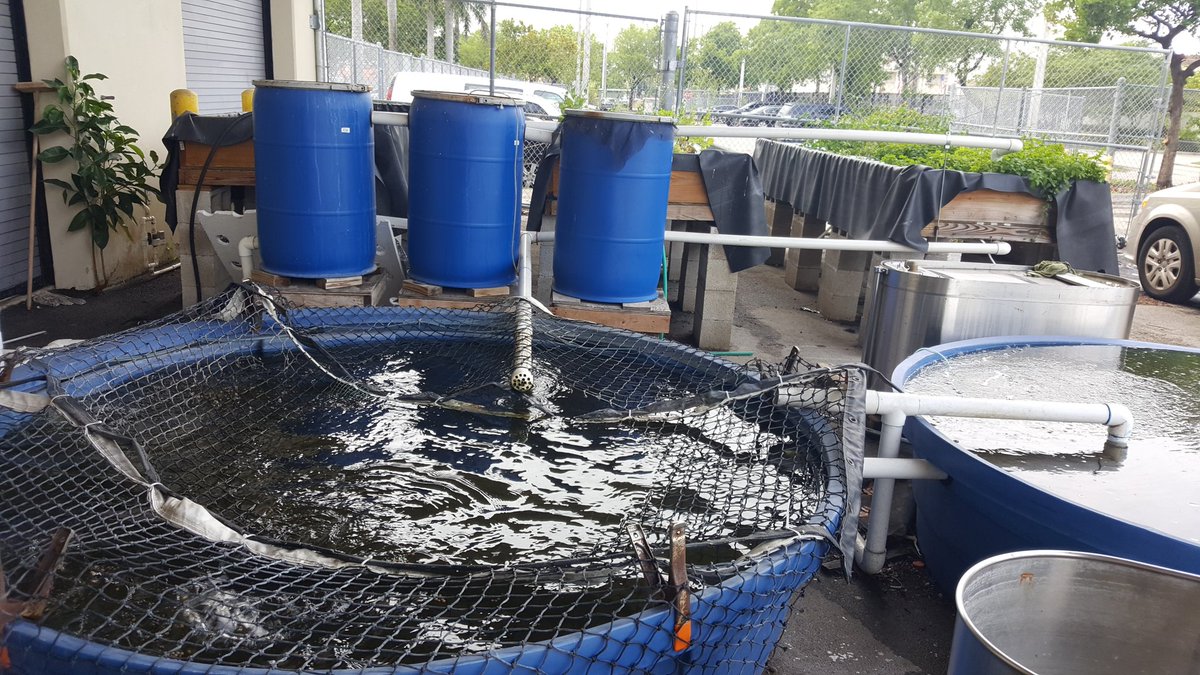 MDCPSSTEAM's tweet photo. Problem solving through the business of farming @MJSeniorHigh . #MDCPSSTEM @CTEMiami https://t.co/tC47ZgPRBR