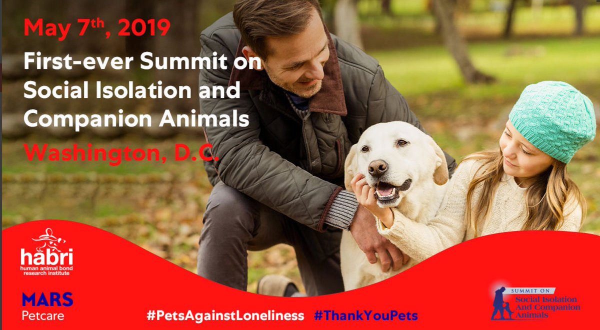 38 Best Pictures Summit Pet Care Summit Pet Care 2 Dogs