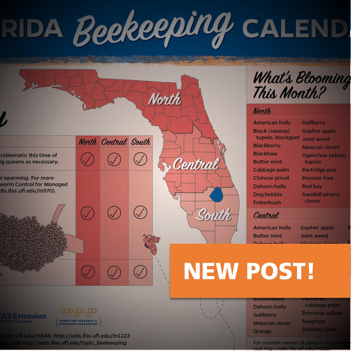 UFhoneybeelab's tweet photo. Check out the #ufhoneybeelab recommendations for your apiary this month in today's #MelittoFiles blog post: https://t.co/xhv2bcp2Oe #ufbugs #honeybees #beekeeping #ManagementCalendar https://t.co/nSy7huPMD3