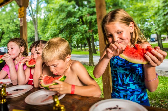 KOAKampgrounds's tweet image. Looking for something fun to do this summer? Check out our list of events and themed weekends at each every KOA campground: bit.ly/2Y0GIwT