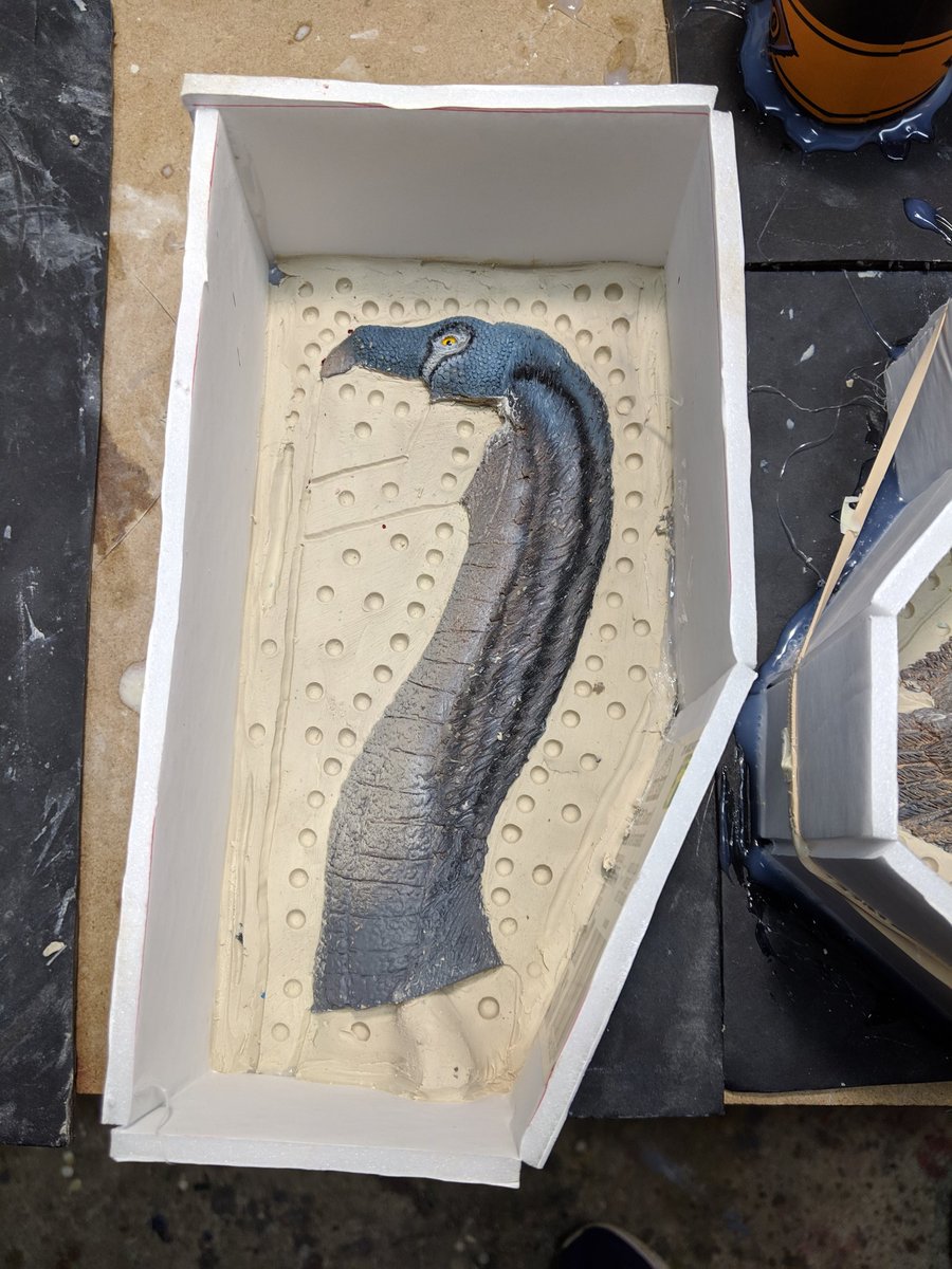DinosaurDungeon's tweet photo. The first half of the molds for the 1/15th Therizinosaurus are ready to pour!
#smoothon #dinosaurs #dinosaurdungeon #sculpture #silicone #birdlikedinosaur #therizinosaurus #figure #resinmodel #resincasting #sciart #paleoart #pressurecasting #scalemodel #scientificreconstruction https://t.co/Q3KseHQ6nq