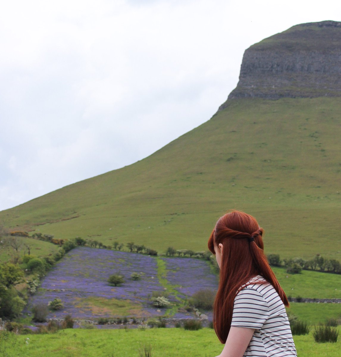 A patch of bluebells at the foot of Benbulben #bestofsligo #sligo #wildatlanticway #ireland #tourismIreland #westofireland #discoverIreland #LoveIreland