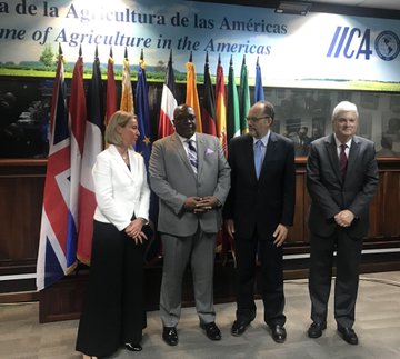 View image on Twitter