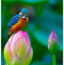 Optimism is the faith that leads to achievement. Nothing can be done without hope and confidence #TuesdayThoughts