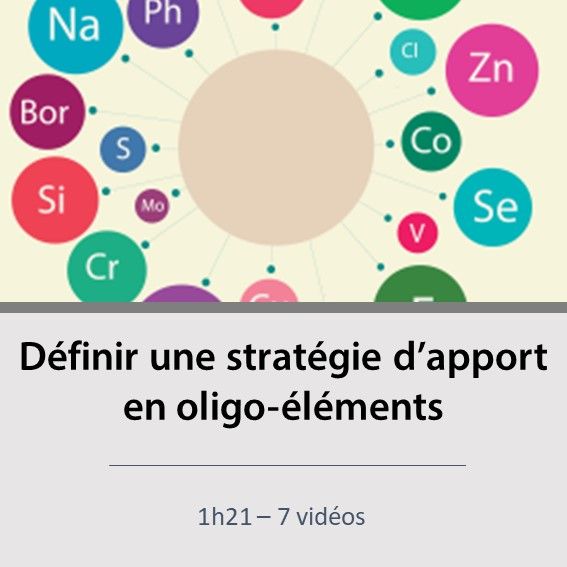 Agrilearn_fr's tweet photo. Dans cette série de vidéos, vous apprendrez à faire « le point 0 » pour savoir où vous en êtes dans la couverture du besoin des animaux en oligo-éléments, minéraux et aussi des principaux polluants. #gillesgrosmond #methodePEPSS
-> https://t.co/bvf9vntyK5 https://t.co/wdImwVD6HY