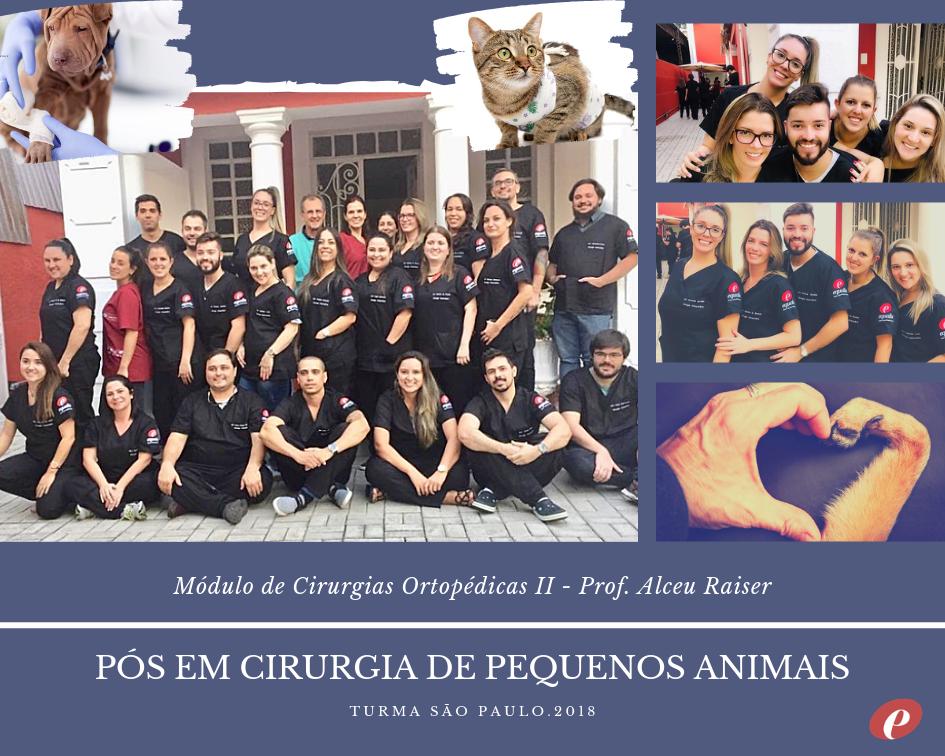 Teve muito estudo e treinamento prático no fds passado com Prof. Alceu Raiser e a turma de Pós em Cirurgia de Pequenos! Parabéns pela dedicação! 💞🐱🐶

SP: últimas vagas para iniciar 31/05 (turma confirmada!) 
>> Recife: 30/08

Saiba+bit.ly/2LotSHi