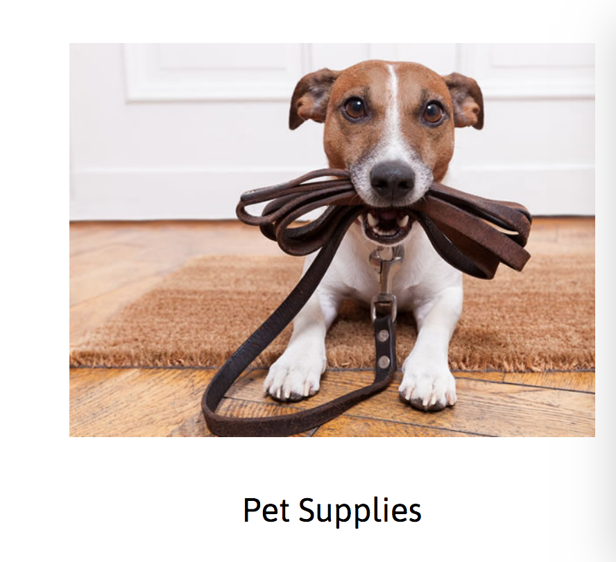 dogs accessories online shopping