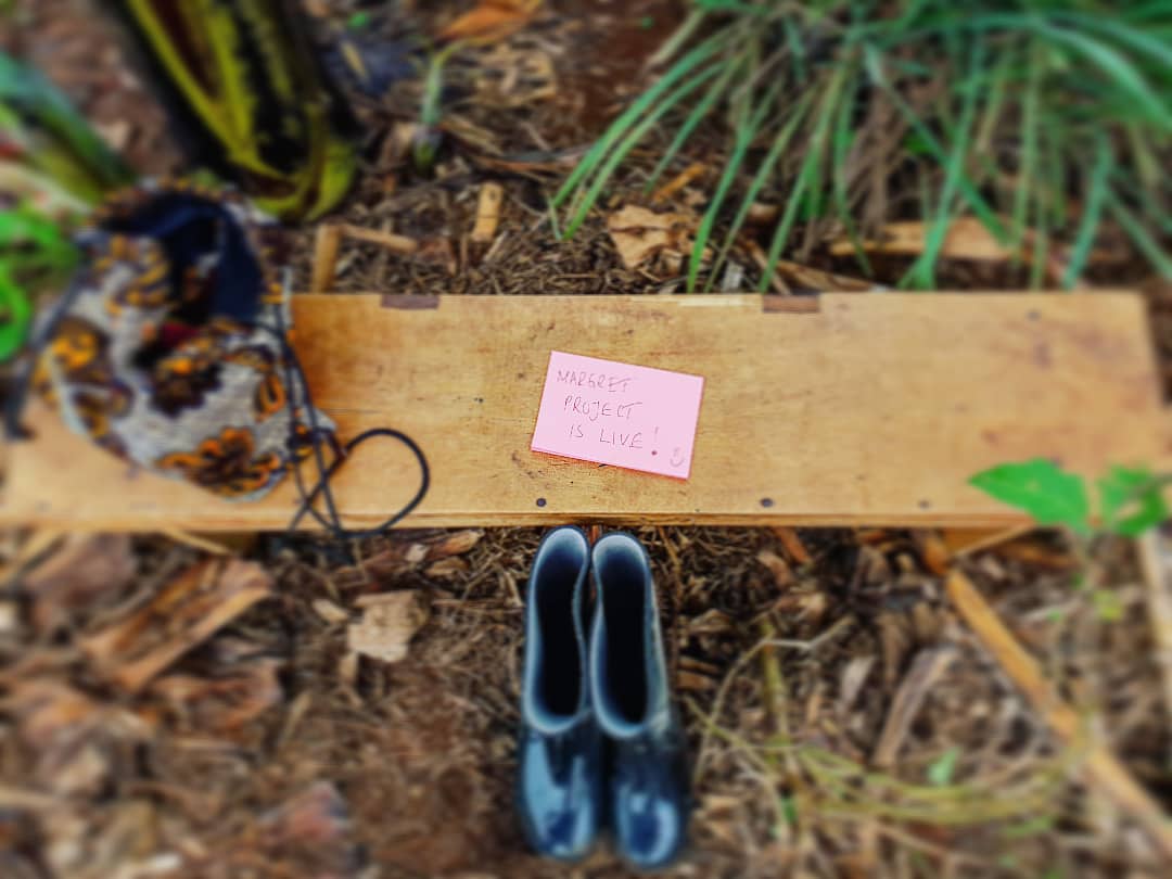 The Nerve Network tweet media