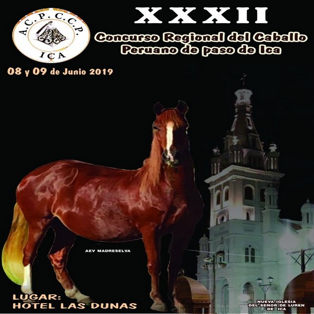 AncpcppP's tweet photo. Concurso Regional del Caballo Peruano de Paso Ica 2019 
Fechas: 8 y 9 de Junio 2019
Lugar: Hotel Las Dunas Ica- Perú https://t.co/J6V8k1LBqG