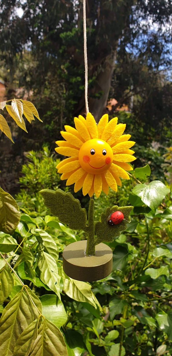 Anamanda15's tweet photo. 💝#fiori #adunfilo #ESTATE #maggio #belli https://t.co/1OfIBllCIg