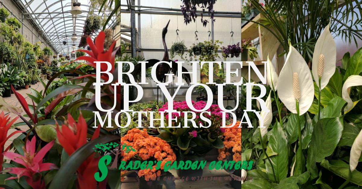 HouseOn7th's tweet photo. Need something to brighten up your Mothers Day? Stop by Strader's Garden Centers Riverside Dr and purchase her a basket of flowers. 
#MothersDay #Gardenlife https://t.co/w2ir4yb6Ae