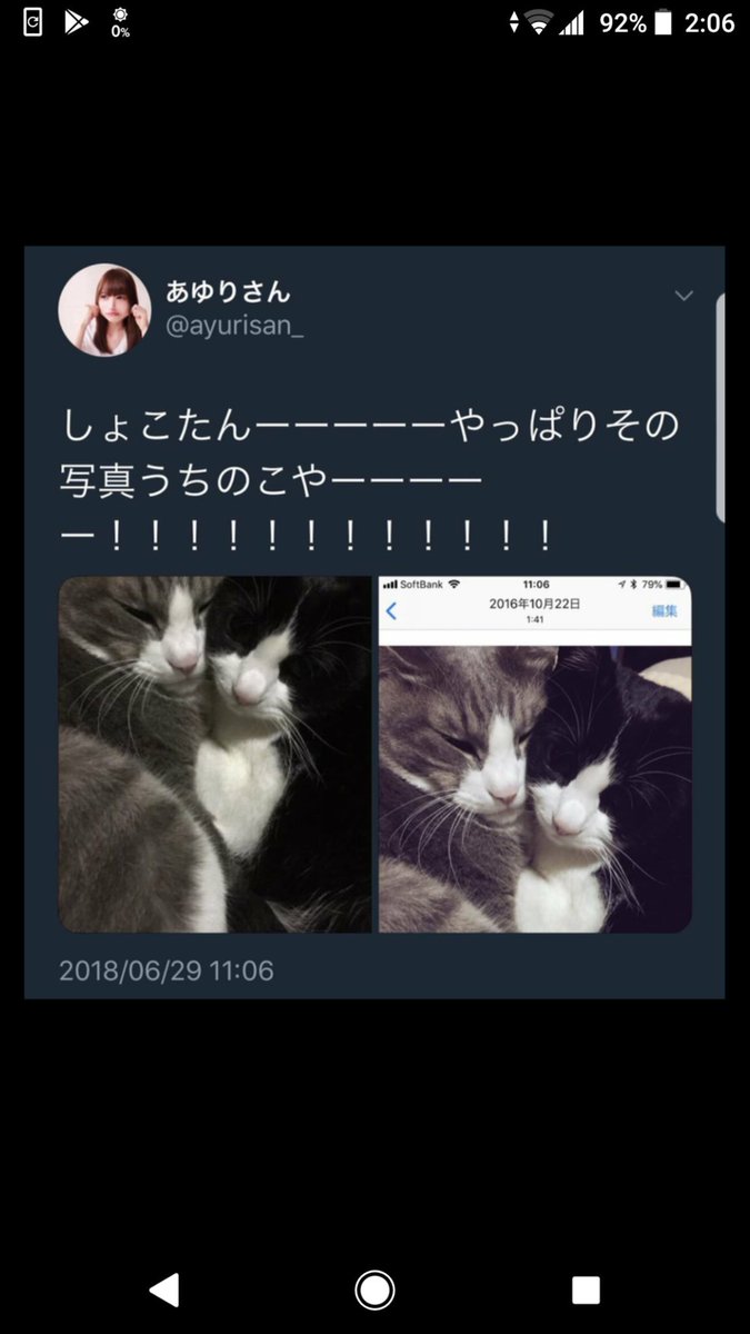 ナ ン ナ しょこたん虚言癖あるからあまり信じられないのよねー アーケードスティックネタ 麻雀ネタ 色々ツイートする度にわか ぶりが暴かれて炎上してるw中川翔子 嘘 で検索すると色々でてくる 今回もジュースかけられたらまず従業員と警察に通報して