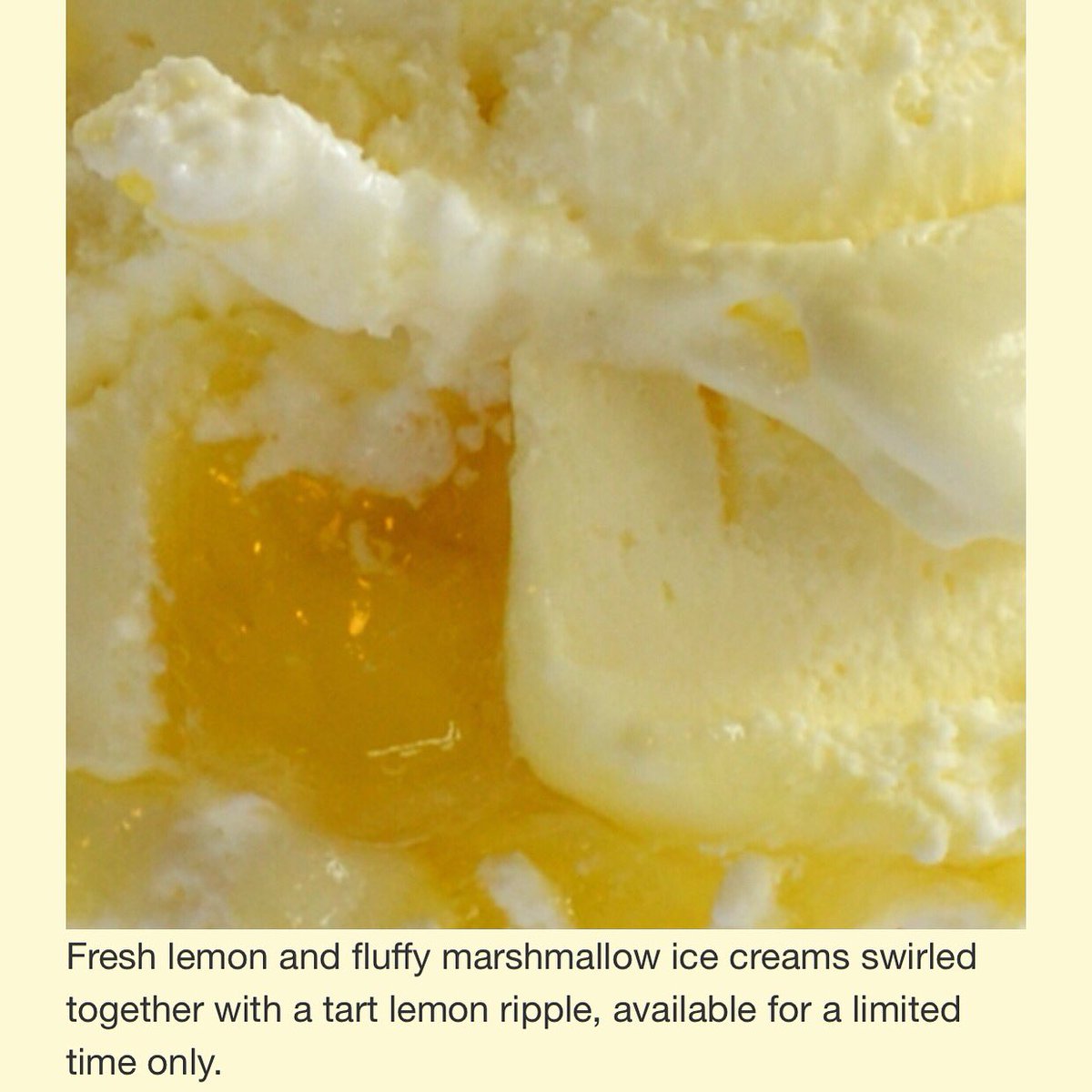 Silver Dipper tweet media