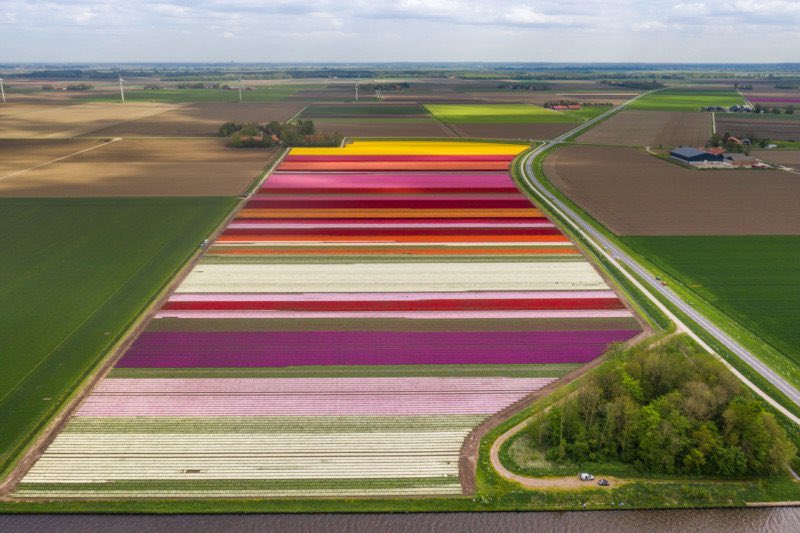 ourtravelco's tweet photo. Gorgeous #Tulip pics from #Holland for your inner #travelbug
Our #travel advisors can help manage your next #holiday & help #SaveMoneyOnTravel https://t.co/5MaUSUZdb4 #MakeLIFEGreatAgain https://t.co/lAELuNYbk0