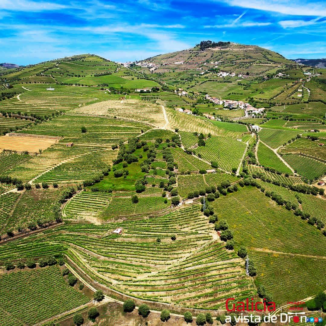 avistadedrones's tweet photo. 🌍 Paso da Régua, Portugal
#galiciaavistadedron #pasodaregua #portugal #portugalnorte #riodouro #vinho
#photooftheday #fotodeldia #instagood #drone #dji #drones #droneoftheday #aerialphotography #dronefly #dronegear #aerial #dronelife #djiglobal #dronephotography #phantom4 https://t.co/NlLZ59pC2k