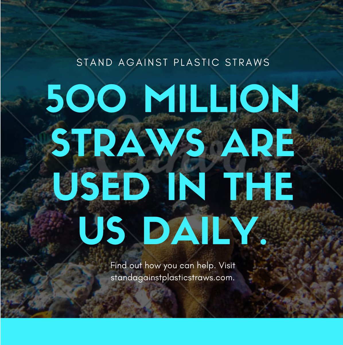 standagainstpl1's tweet image. Help us by liking our Facebook or donating to our Go Fund Me
facebook.com/standagainstpl…

gofundme.com/donate-to-stan…