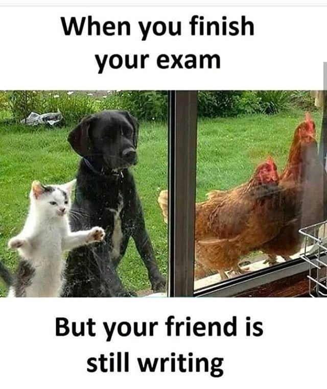 Цитаты про it. Шрек юмор. Готовые диалоги на and to do. Waiting friend. It's over meme.