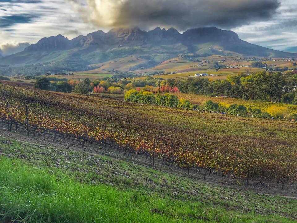 Root 44 parkrun in all her autumn colour glory! Add this parkrun to your  bucket list! <a href="/parkrunSA/">parkrun South Africa</a> <a href="/parkrun/">parkrun 🌳</a> #autumncolours #loveparkrun 📷 photo credit: Lucinda Gordon (parkrun volunteer) #lovevolunteers 💜