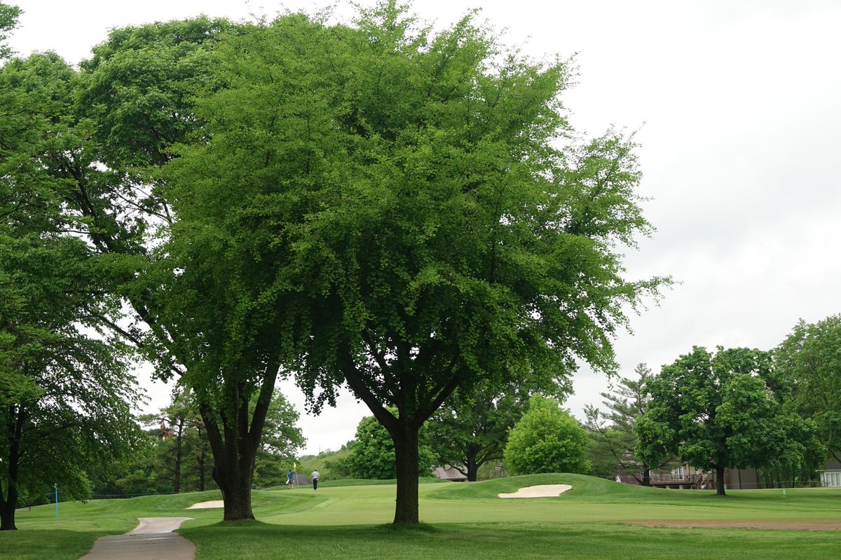 Welcome to Kansas City! ⛳️ 

We’re here <a href="/BlueHillsCCGolf/">Blue Hills CC</a> for this week’s @KCGolfClassic.