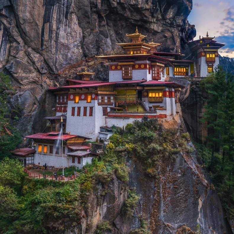 the third half tweet media